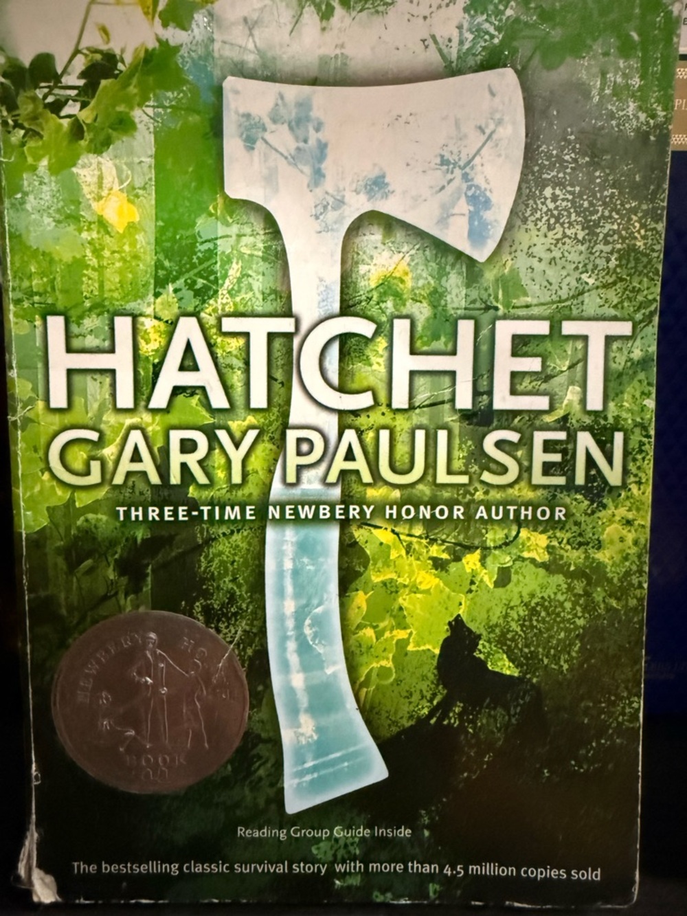 Hatchet by Gary Paulsen - Green Cover Paperback